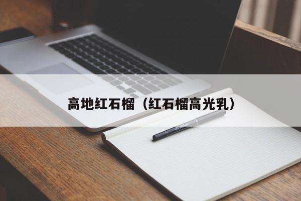 高地红石榴（红石榴高光乳）