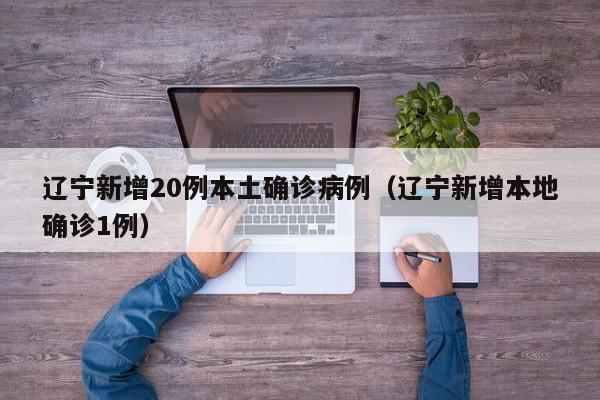 辽宁新增20例本土确诊病例（辽宁新增本地确诊1例）