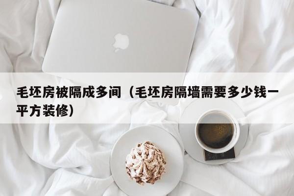毛坯房被隔成多间（毛坯房隔墙需要多少钱一平方装修）