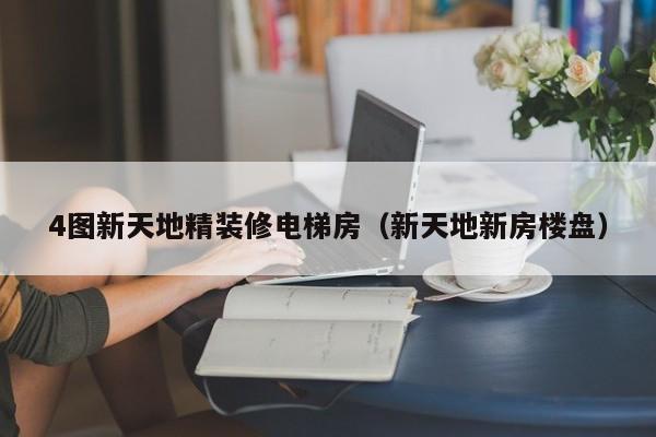 4图新天地精装修电梯房（新天地新房楼盘）