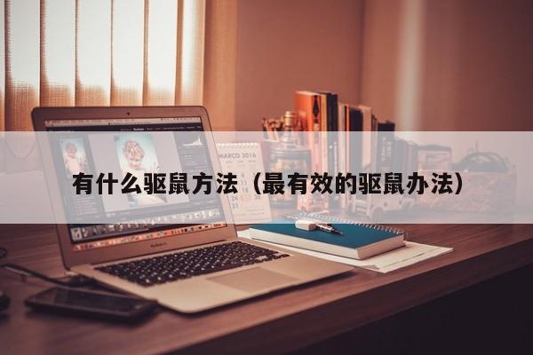 有什么驱鼠方法（最有效的驱鼠办法）