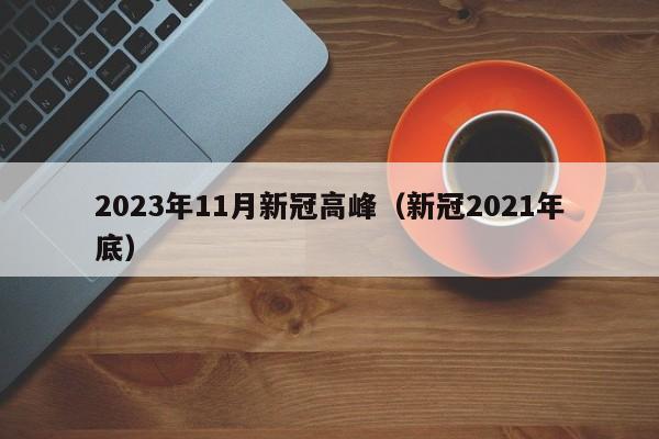 2023年11月新冠高峰（新冠2021年底）