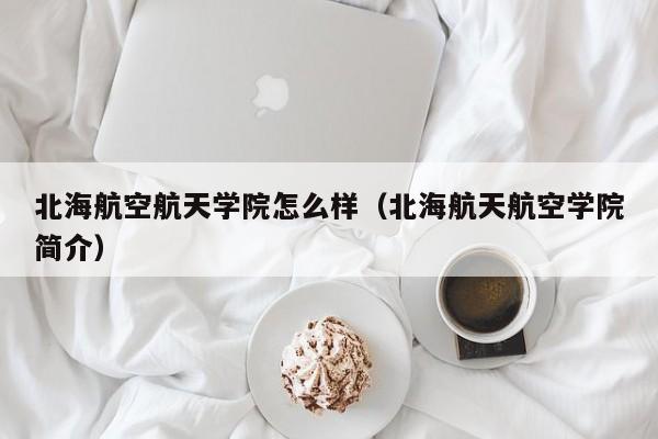 北海航空航天学院怎么样（北海航天航空学院简介）