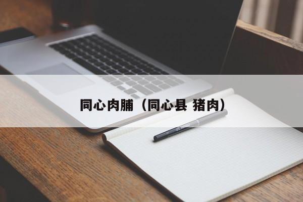 同心肉脯（同心县 猪肉）