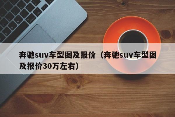奔驰suv车型图及报价（奔驰suv车型图及报价30万左右）