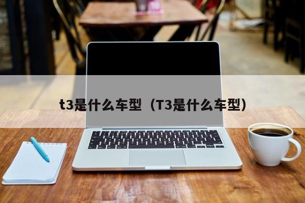 t3是什么车型（T3是什么车型）