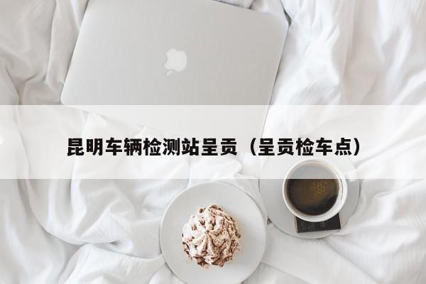 昆明车辆检测站呈贡（呈贡检车点）