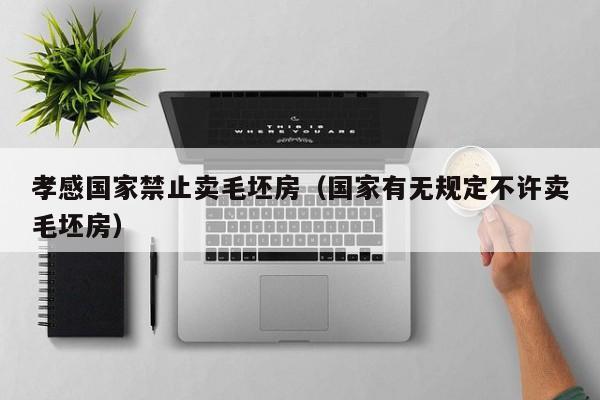 孝感国家禁止卖毛坯房（国家有无规定不许卖毛坯房）