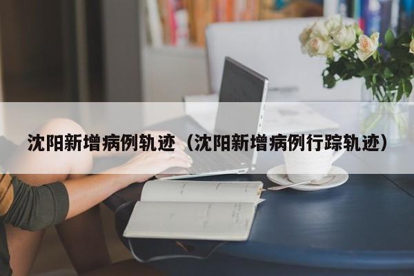 沈阳新增病例轨迹（沈阳新增病例行踪轨迹）