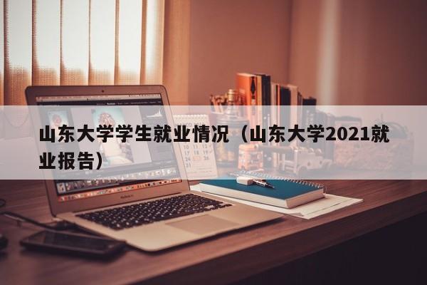 山东大学学生就业情况（山东大学2021就业报告）