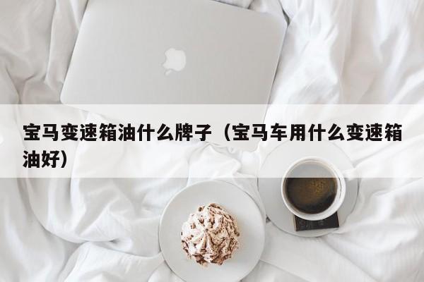 宝马变速箱油什么牌子（宝马车用什么变速箱油好）