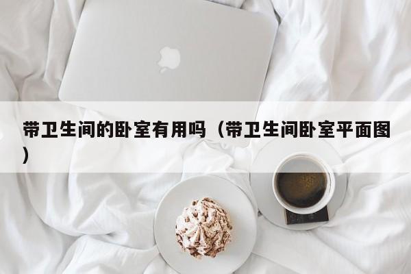 带卫生间的卧室有用吗（带卫生间卧室平面图）