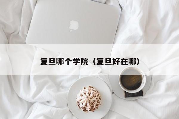复旦哪个学院（复旦好在哪）