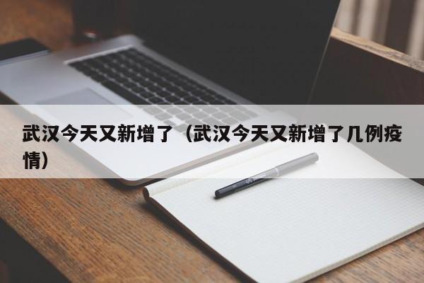 武汉今天又新增了（武汉今天又新增了几例疫情）