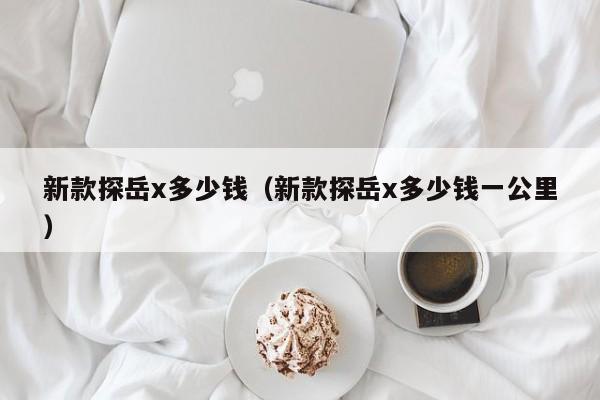 新款探岳x多少钱（新款探岳x多少钱一公里）