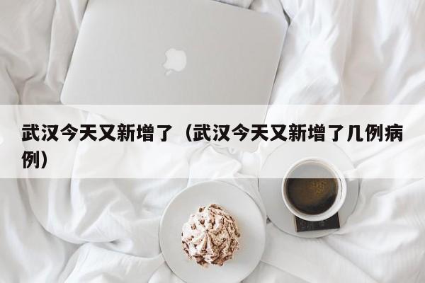 武汉今天又新增了（武汉今天又新增了几例病例）