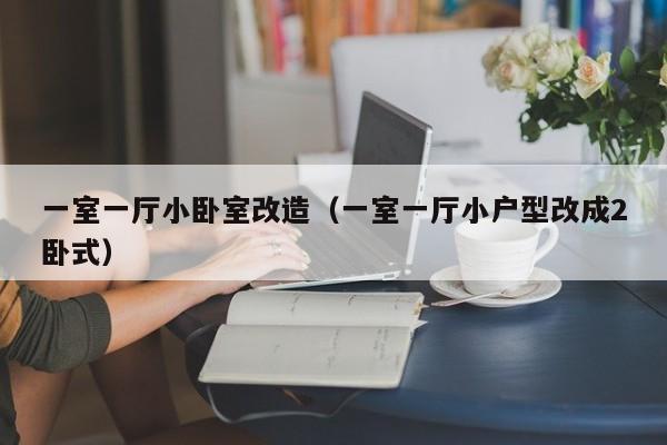 一室一厅小卧室改造（一室一厅小户型改成2卧式）