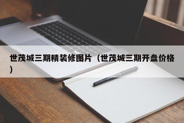 世茂城三期精装修图片（世茂城三期开盘价格）