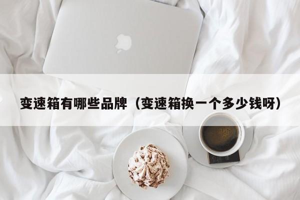 变速箱有哪些品牌（变速箱换一个多少钱呀）