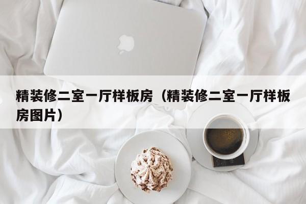 精装修二室一厅样板房（精装修二室一厅样板房图片）