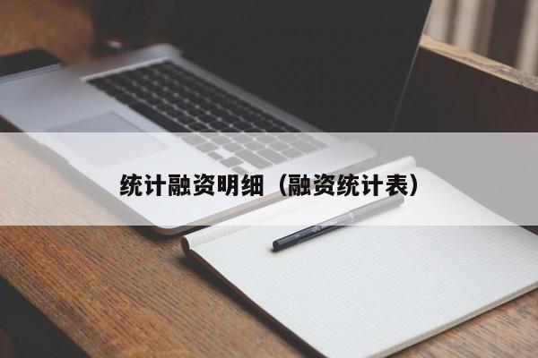 统计融资明细（融资统计表）