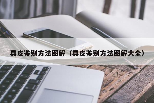 真皮鉴别方法图解（真皮鉴别方法图解大全）