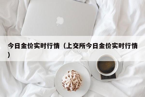 今日金价实时行情（上交所今日金价实时行情）
