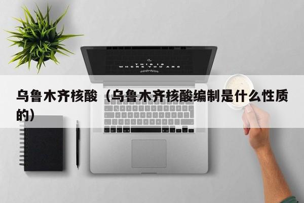 乌鲁木齐核酸（乌鲁木齐核酸编制是什么性质的）