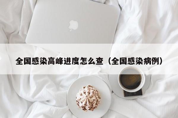 全国感染高峰进度怎么查（全国感染病例）
